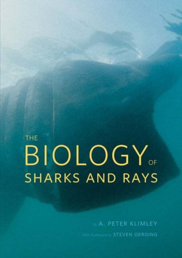 The Biology of Sharks and Rays av A. Peter Klimley