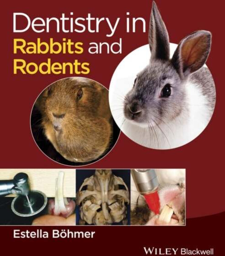 Dentistry in Rabbits and Rodents av Estella (Senior Physician at the Clinic of Small Animal Surgery and Reproduction Centre for Clinical Veterinary Me