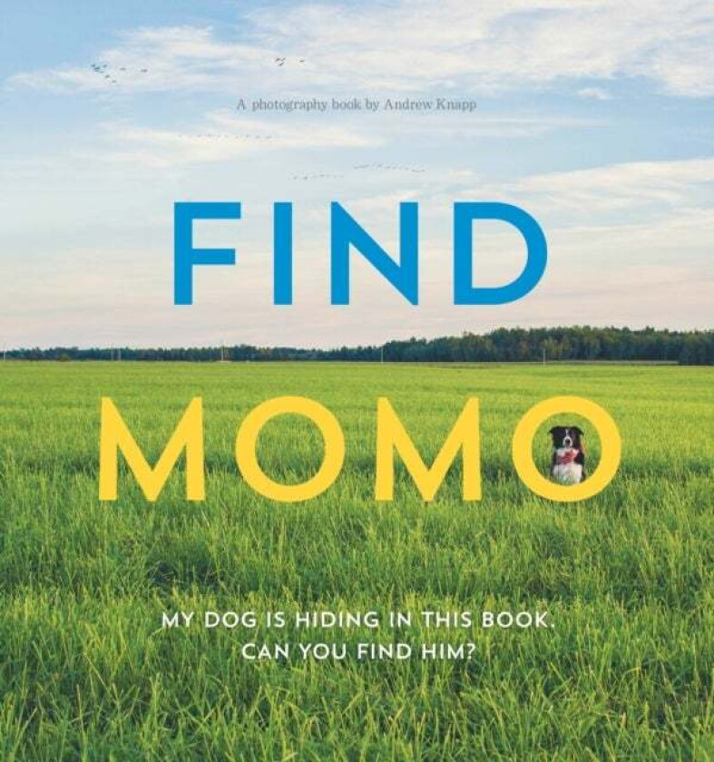 Find Momo av Andrew Knapp