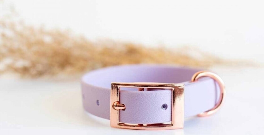 Tyylivoitto Classy Hundehalsbånd Lila (XS)