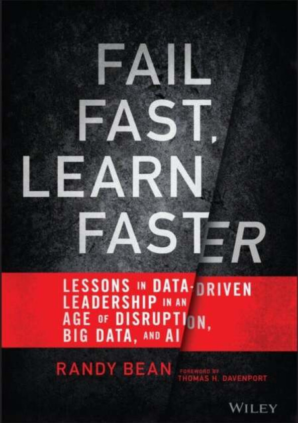 Fail Fast, Learn Faster av Randy Bean