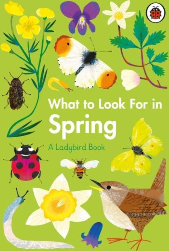 What to Look For in Spring av Elizabeth Jenner