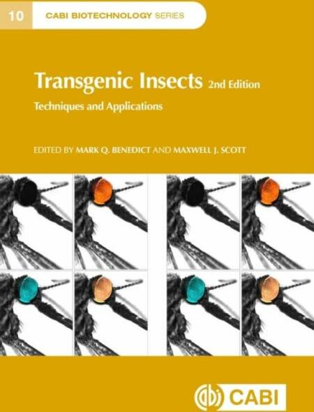 Transgenic Insects