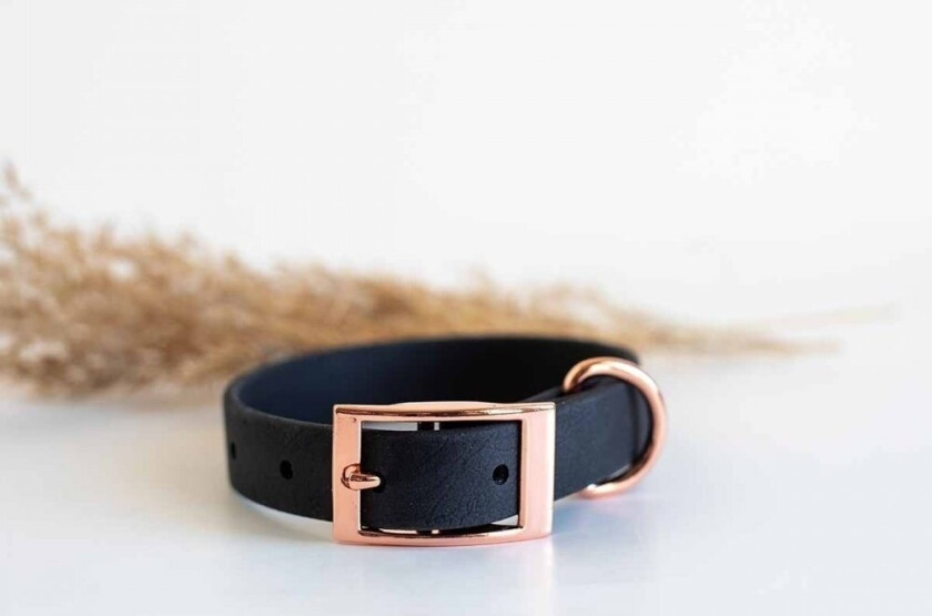 Tyylivoitto Classy Hundehalsbånd Svart (XXS)