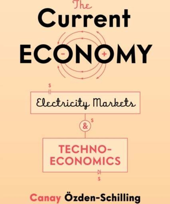 The Current Economy av Canay OEzden-Schilling
