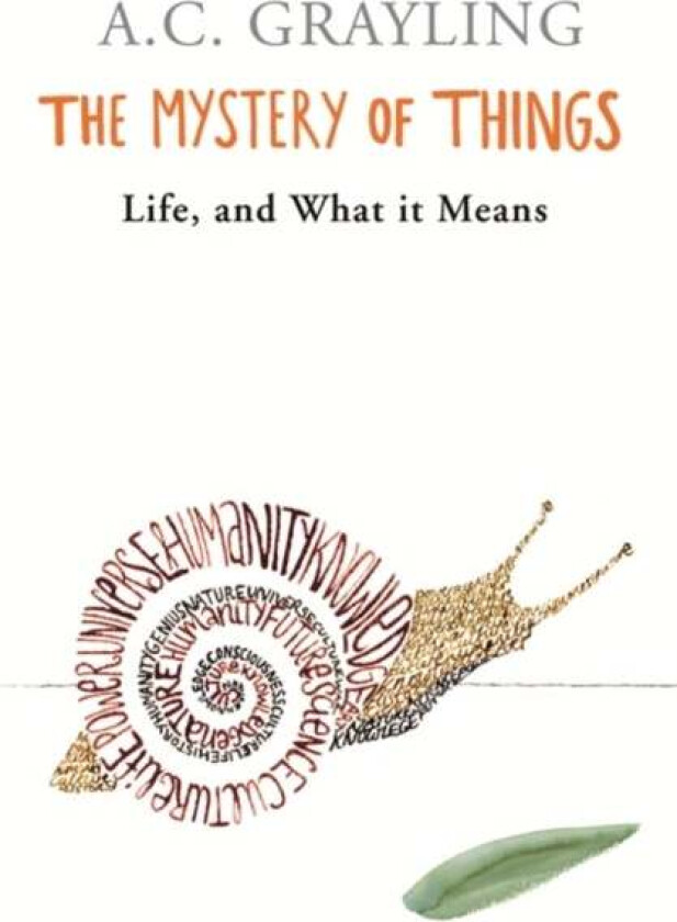 The Mystery of Things av Prof A.C. Grayling
