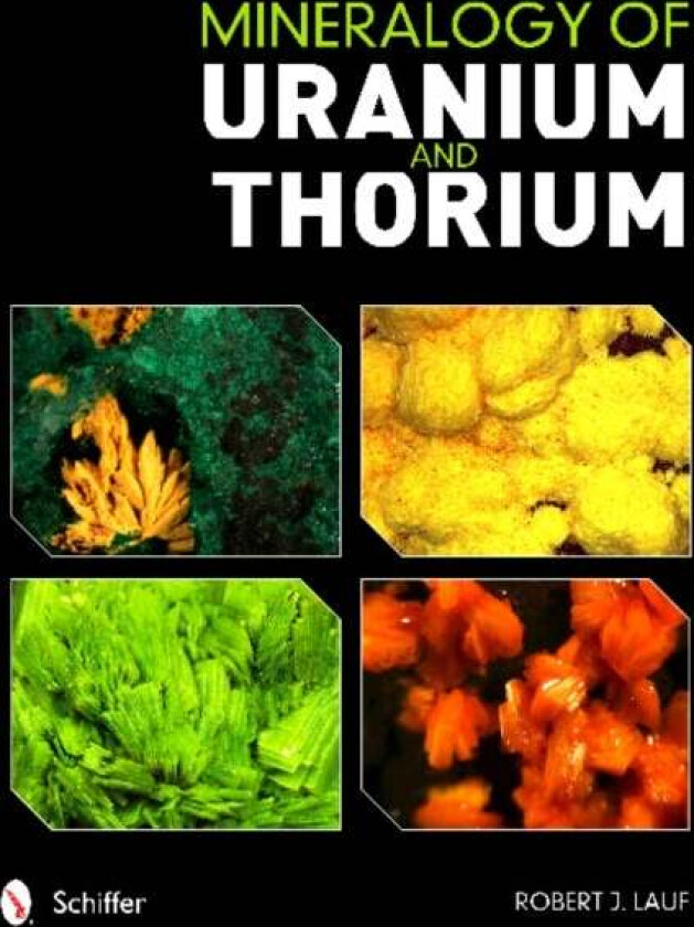 Mineralogy of Uranium and Thorium av Robert PhD Lauf