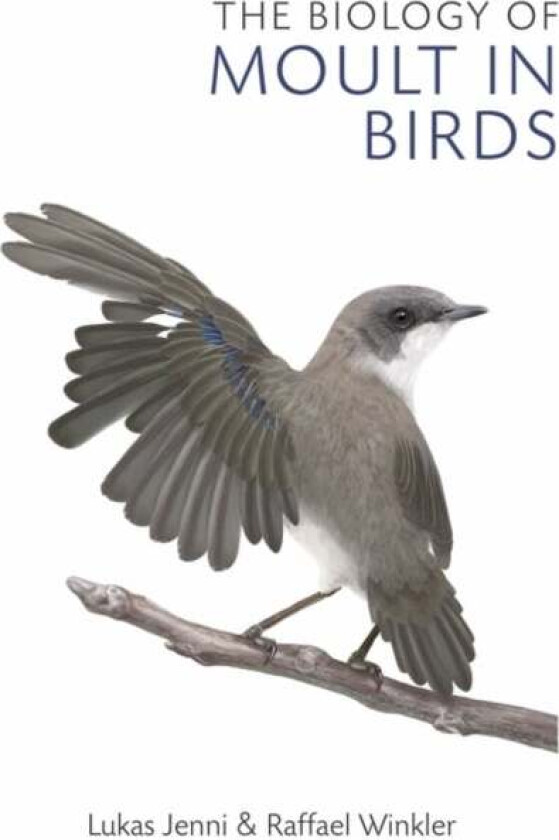 The Biology of Moult in Birds av Lukas Jenni, Raffael Winkler
