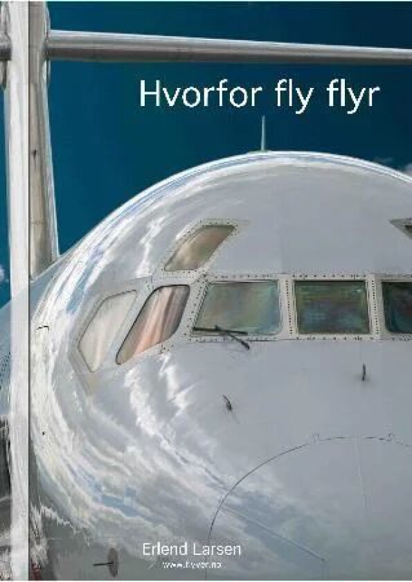 Hvorfor fly flyr av Erlend Larsen