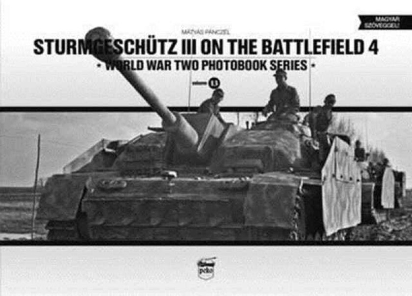 Sturmgeschutz III on the Battlefield 4 av Matyas Panczel