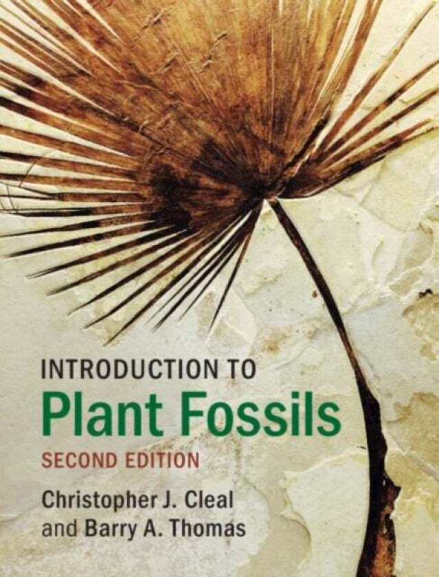 Introduction to Plant Fossils av Christopher J. Cleal, Barry A. (University of Wales Aberystwyth) Thomas