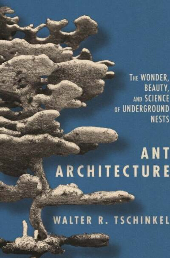 Ant Architecture av Walter R. Tschinkel