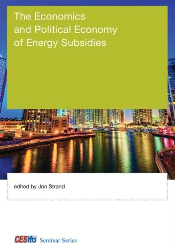 The Economics and Political Economy of Energy Subsidies