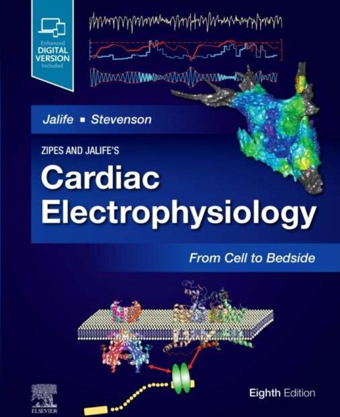 Zipes and Jalife's Cardiac Electrophysiology: From Cell to Bedside