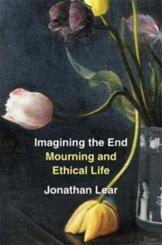 Imagining the End av Jonathan Lear