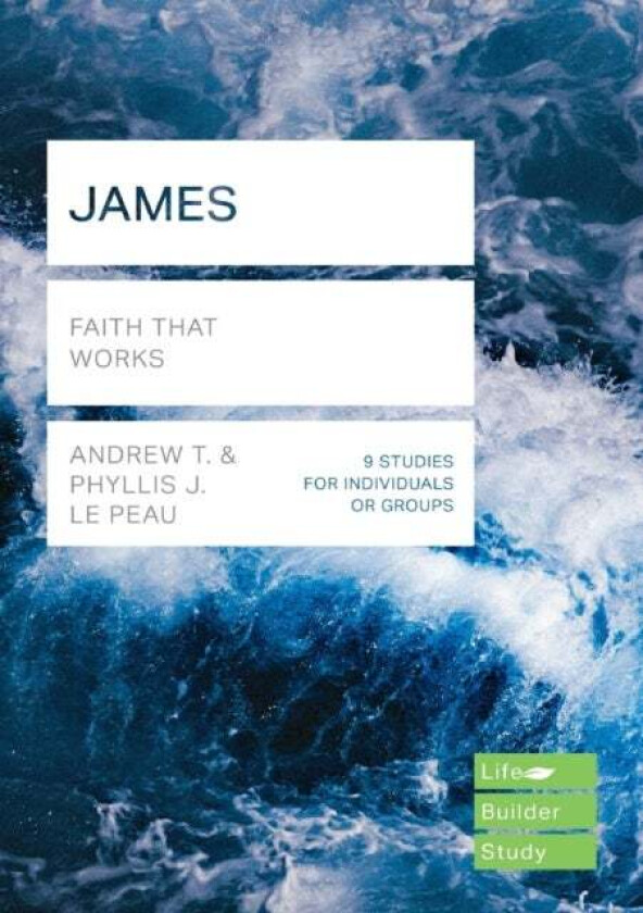James (Lifebuilder Study Guides) av Andrew T