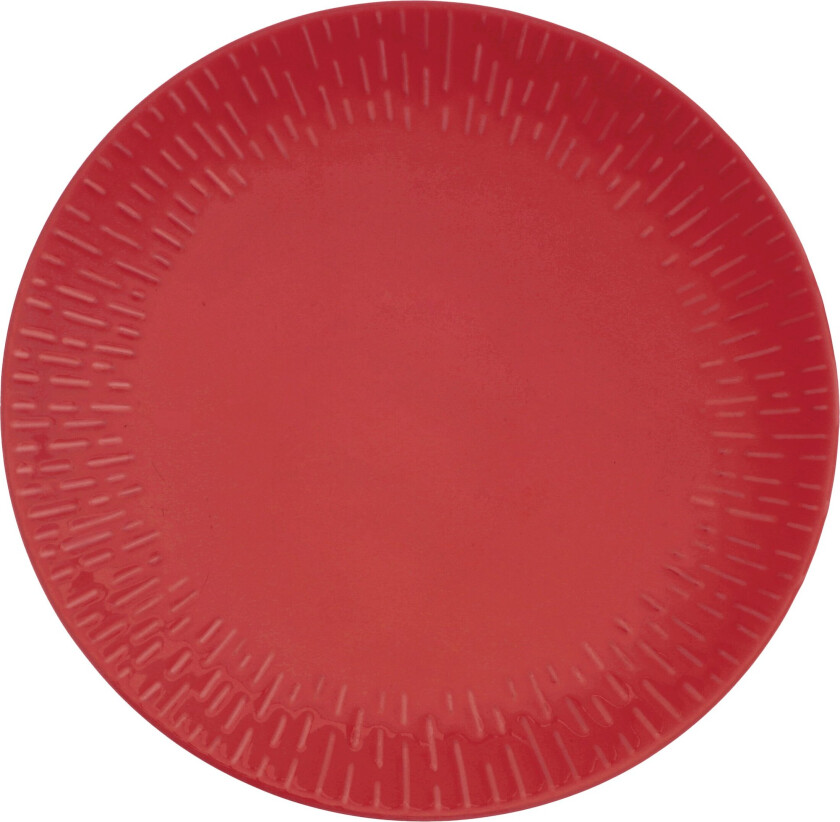 - Life in Colour - Confetti - Chili dinner plate w/relief porcelain (13463)