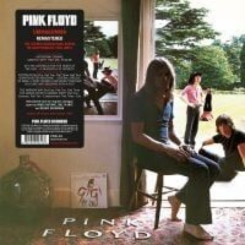 Pink Floyd - Ummagumma (180 Gram - 2LP)