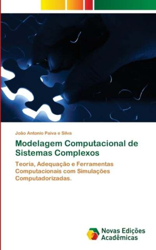 Modelagem Computacional de Sistemas Complexos av Joao Antonio Paiva E Silva