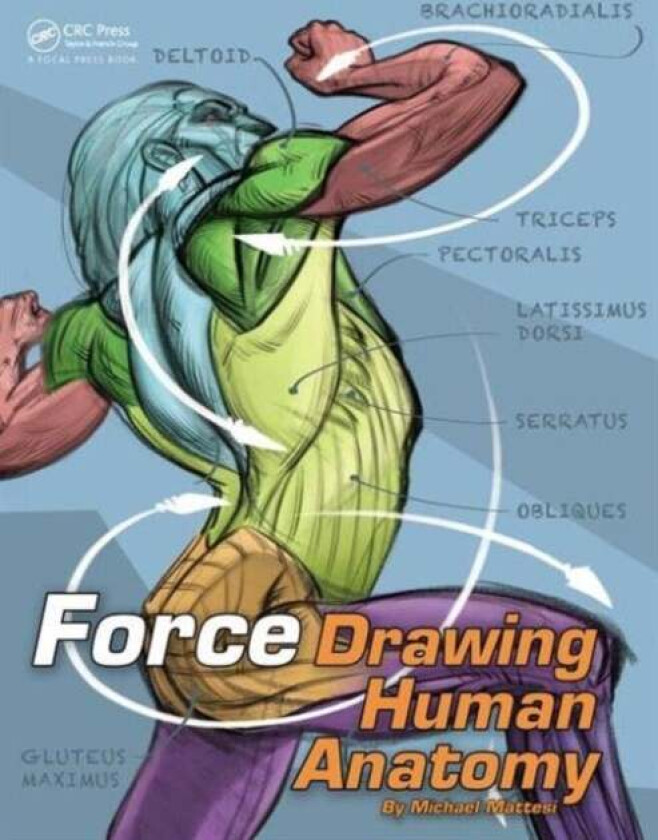 FORCE: Drawing Human Anatomy av Mike Mattesi