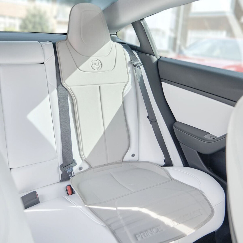 Setebeskytter til Tesla, Lys