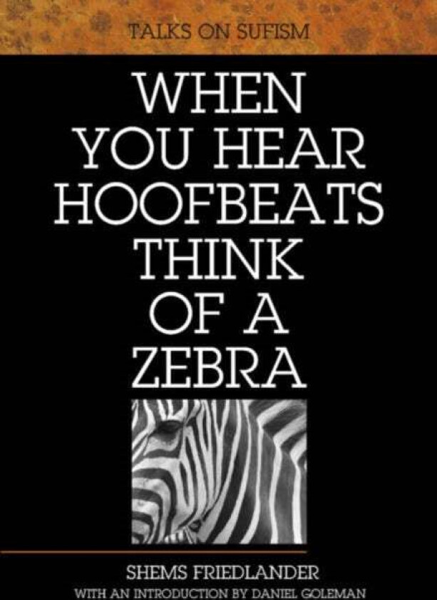 When You Hear Hoofbeats Think of a Zebra av Shems Friedlander