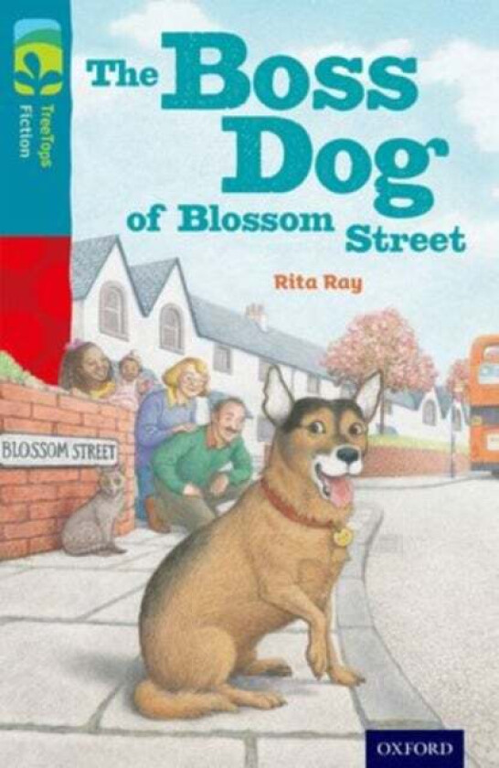 Oxford Reading Tree TreeTops Fiction: Level 9 More Pack A: The Boss Dog of Blossom Street av Rita Ray