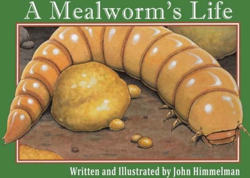 A Mealworm's Life av John Himmelman