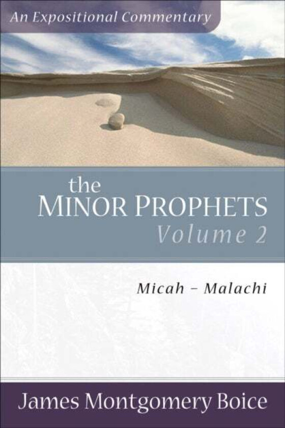 The Minor Prophets - Micah-Malachi av James Montgomer Boice