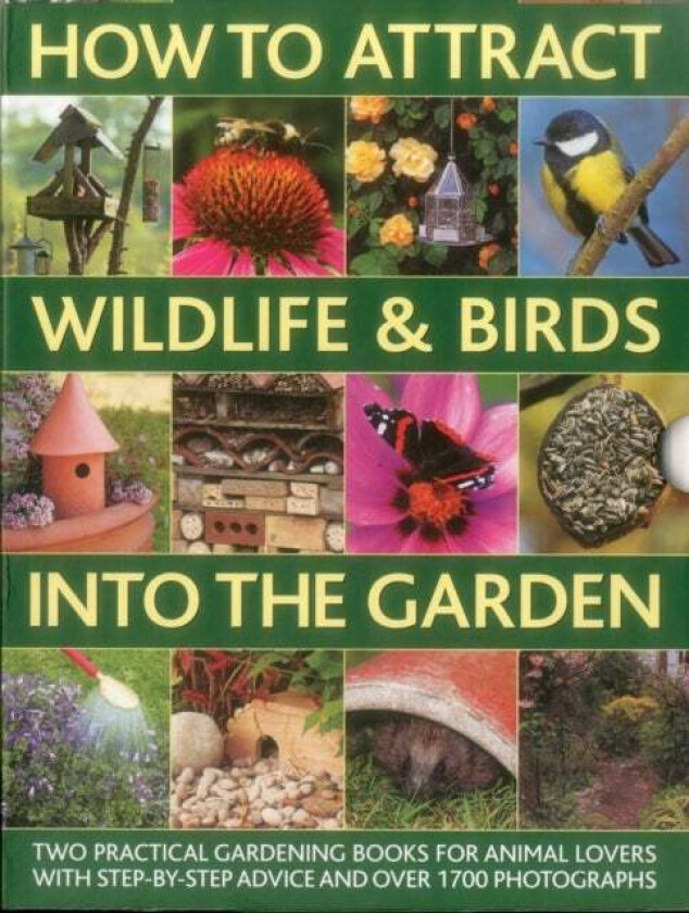 How to Attract Wildlife & Birds into the Garden av Christine Lavelle, Michael Lavelle