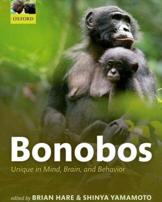 Bonobos
