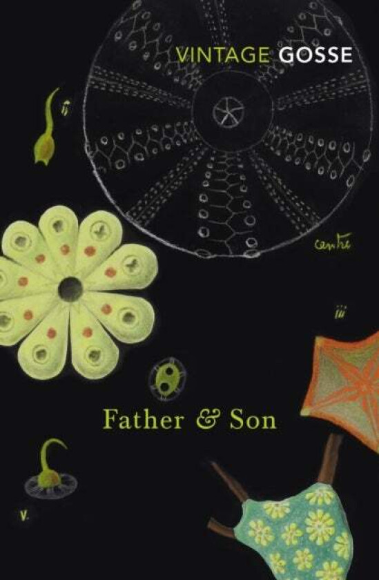 Father and Son av Edmund Gosse