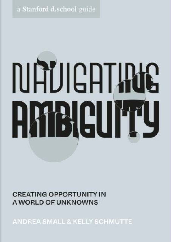 Navigating Ambiguity av Andrea Small, Kelly Schmutte