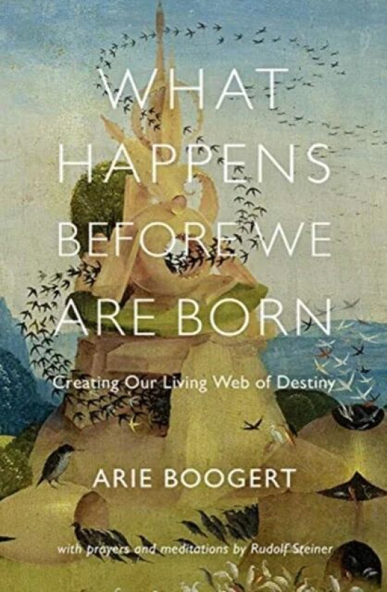 What Happens Before We Are Born av Arie Boogert