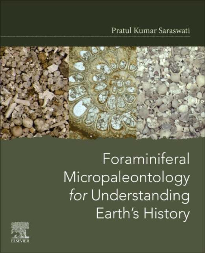 Foraminiferal Micropaleontology for Understanding Earth's History av Pratul Kumar (Professor Department of Earth Sciences Indian Institute of Tec