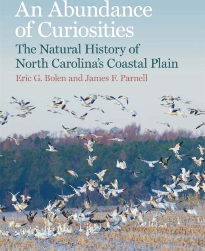 An Abundance of Curiosities av Eric G. Bolen, James F. Parnell, Tom Earnhardt