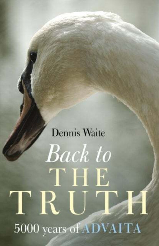 Back to the Truth ¿ 5000 years of Advaita av Dennis Waite