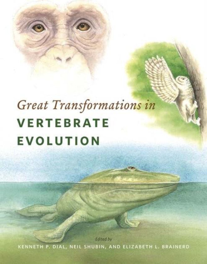 Great Transformations in Vertebrate Evolution av Kenneth P. Dial