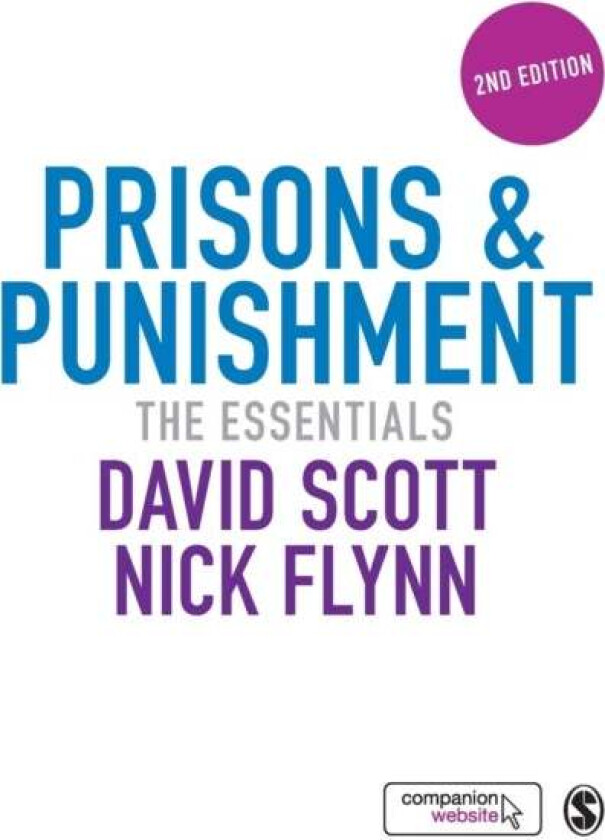 Prisons & Punishment av David Scott, Nick Flynn