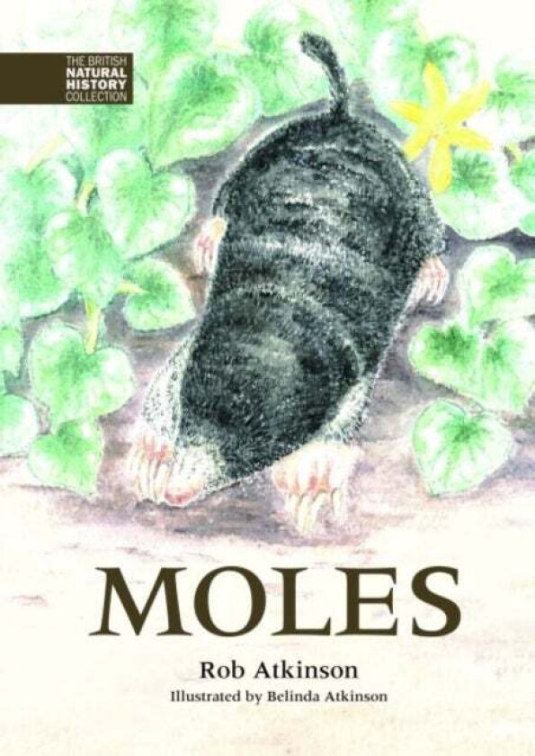 Moles av Rob Atkinson