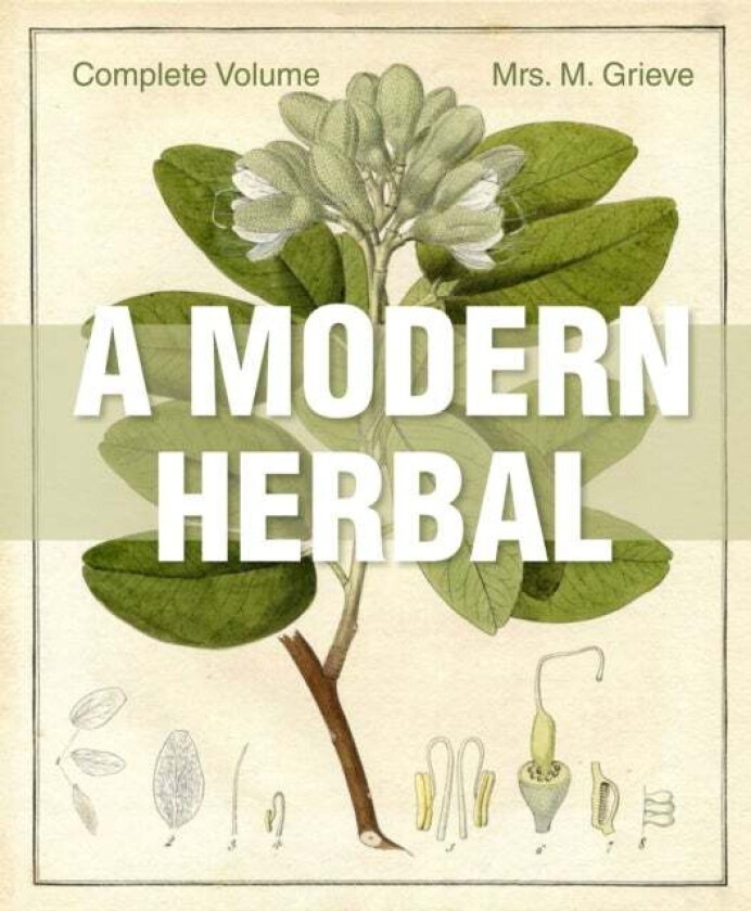 A Modern Herbal av Margaret Grieve