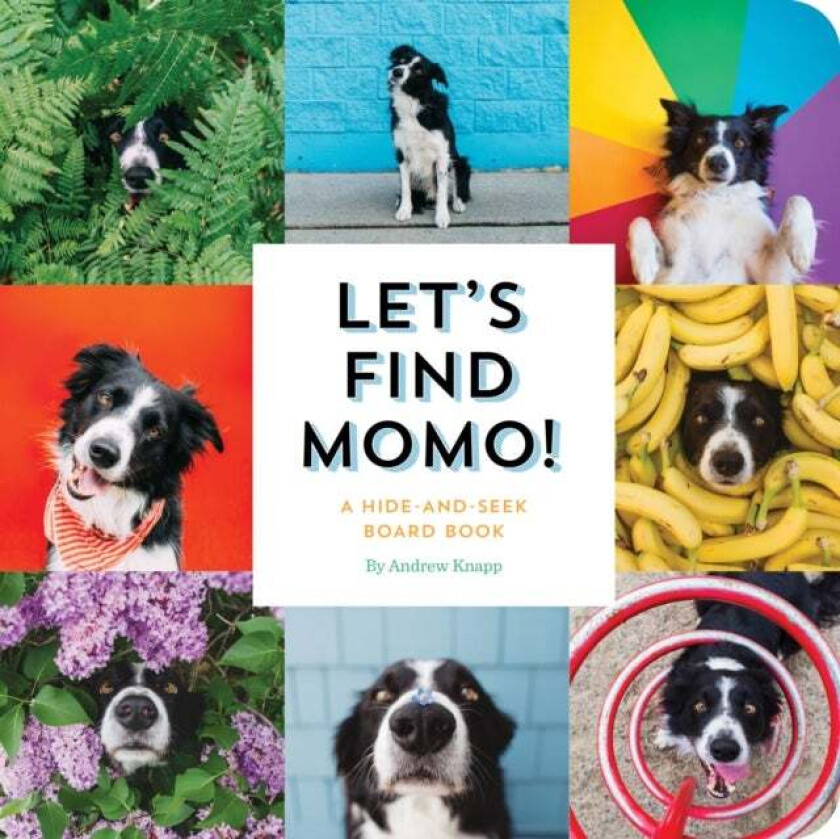 Let's Find Momo! av Andrew Knapp