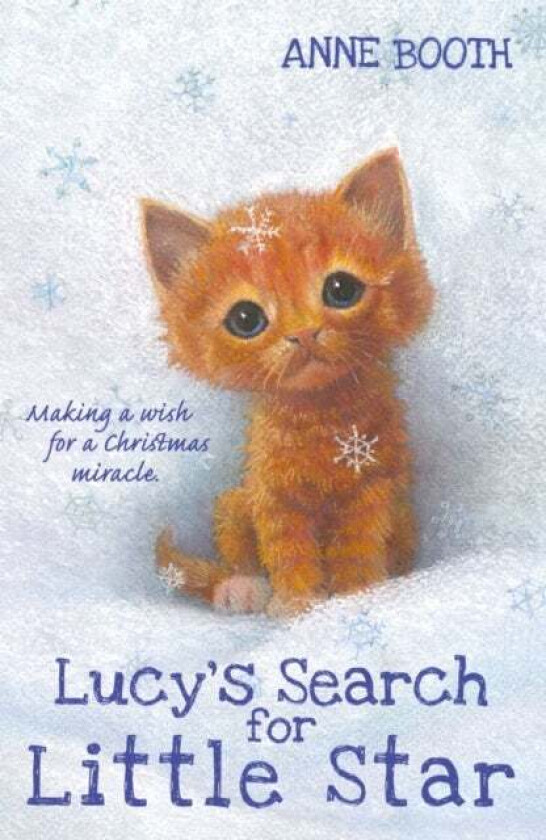 Lucy's Search for Little Star av Anne Booth