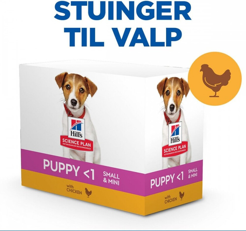 Hill's Science Plan Puppy Small & Mini Stew Chicken & Vegetables 12x80 g