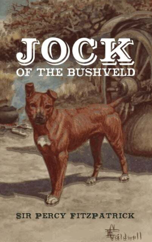 Jock of the Bushveld av Percy Sir Fitzpatrick