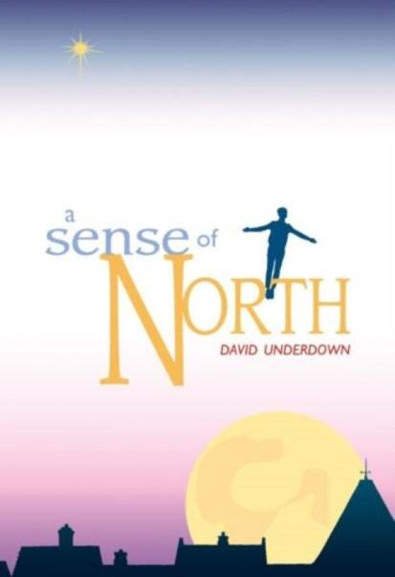 Sense of North, A av David Underdown
