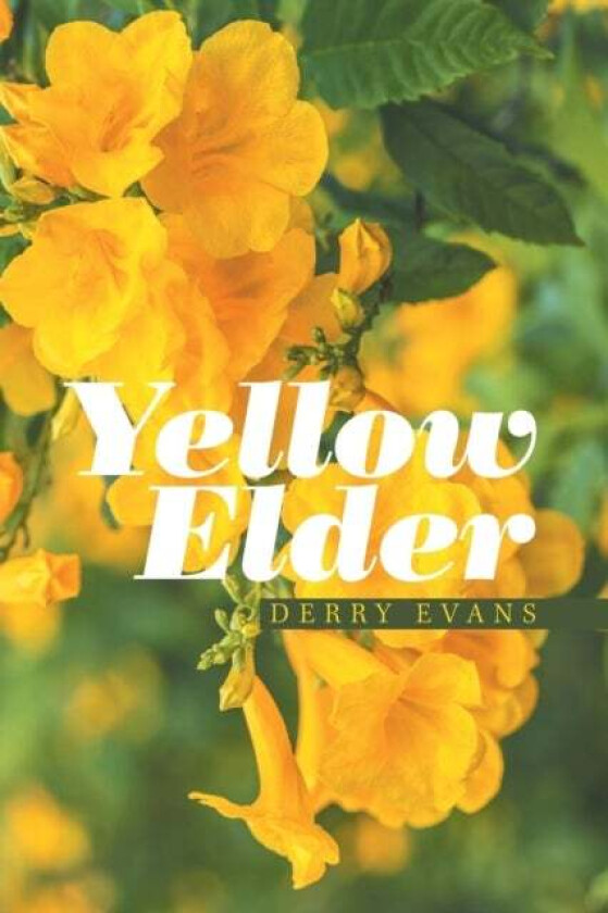 Yellow Elder av Derry Evans
