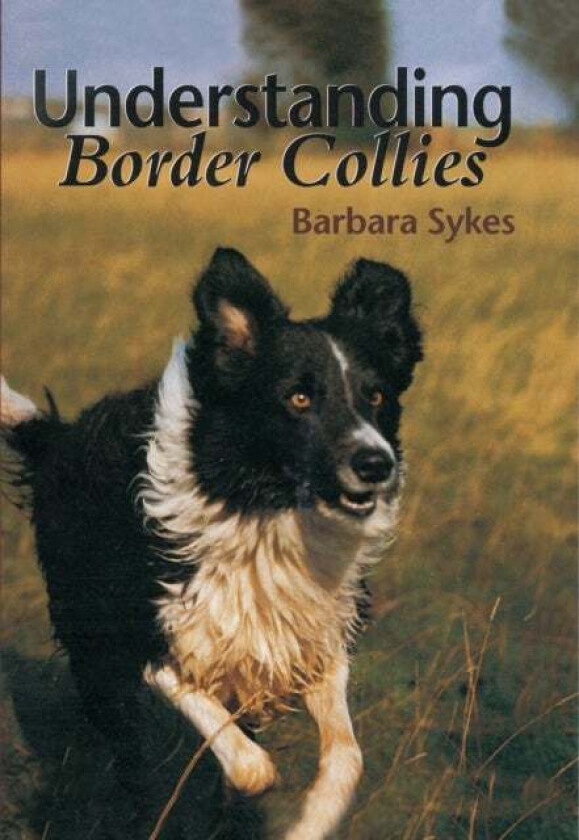 Understanding Border Collies av Barbara Sykes