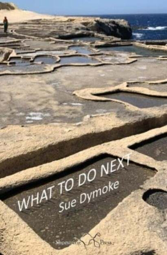 What To Do Next av Sue Dymoke
