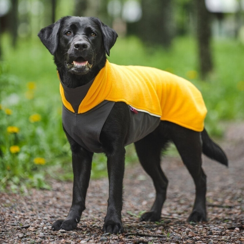 Bilde av Pomppa Jumppa Fleecetrøye Hund Gul (28 cm)